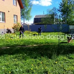 Выравнивание и озеленение участка в Новая-Ропша
