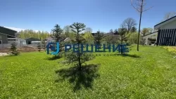 Озеленение и отсыпка участка Парголово